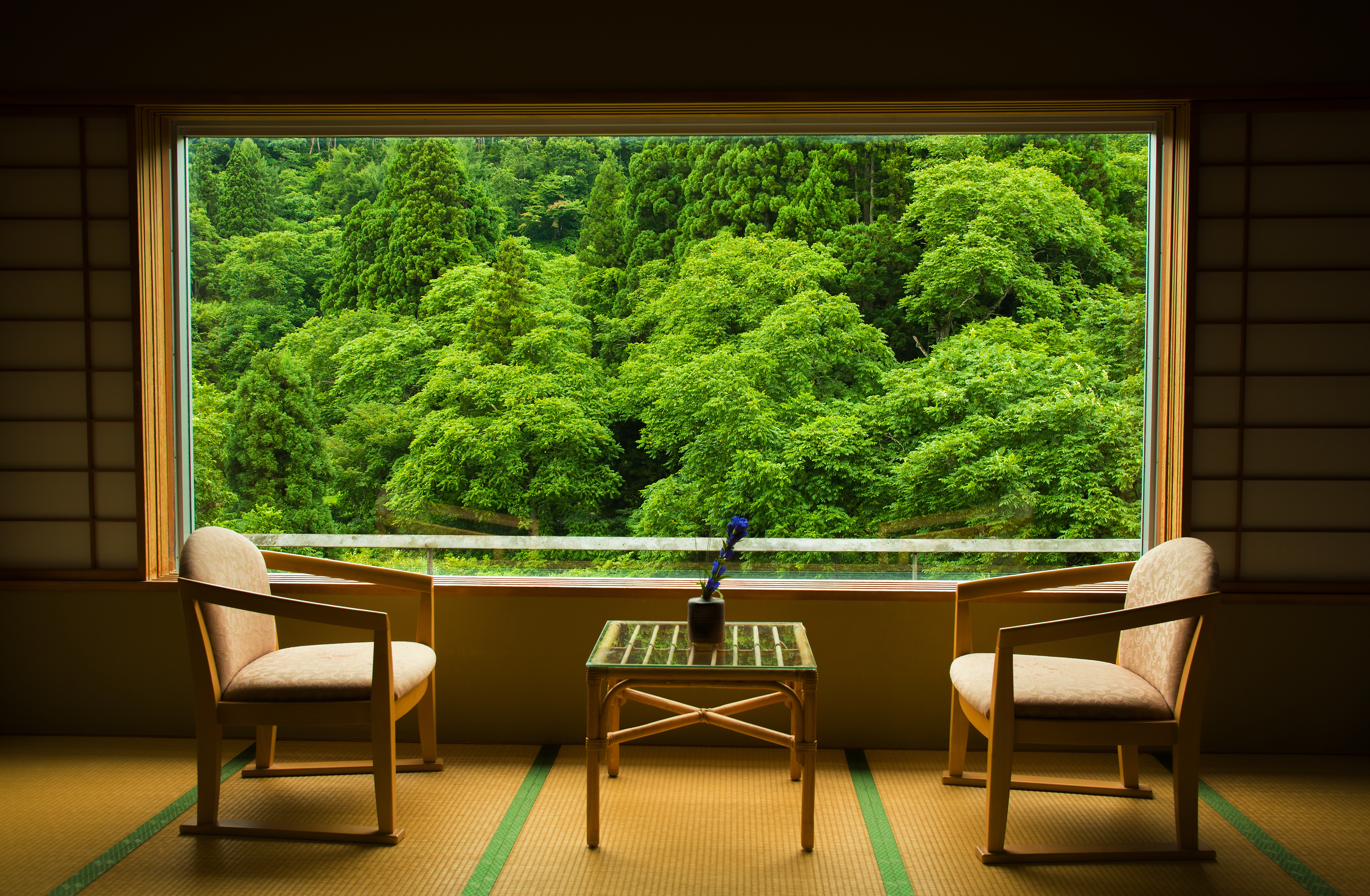 客室画像1